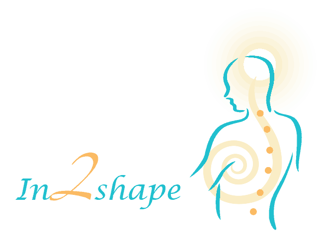 In2Shape